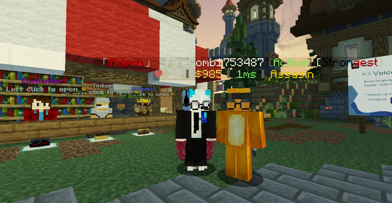 Minecraft Server Developer - NaturalSMP